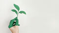 Everyday Actions for a Greener Planet